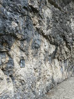 Aphonia 8338
